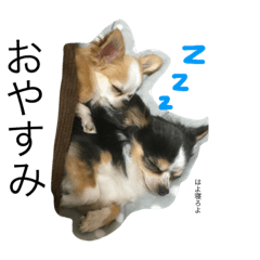仁と亮のスタンプ