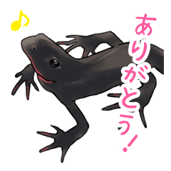 oimo of a Japanese newt