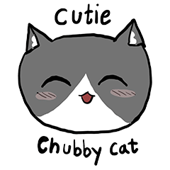 Cutie lovely chubby cat