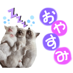 natsumi_20211014003354