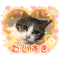 mizuki_20211014010238