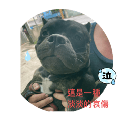 I”m惡霸～阿魯-1