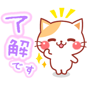 A lot of cats.×RIZAP