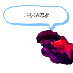 Yuto_20211014141420