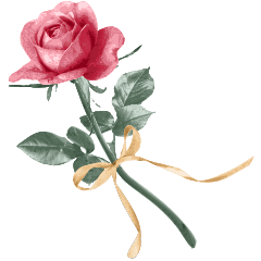 Flower Meanings 05 (Rose)
