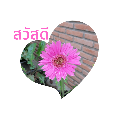 Good Morning everyday for someone