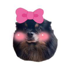 Grace_20211013164611