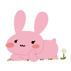 Pink Rabbit Hopps Around!
