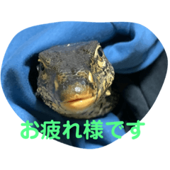 SAYA_20211014171136