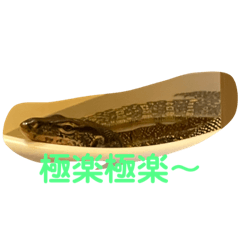 SAYA_20211014175145