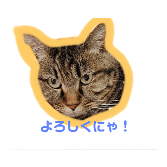 kurosuke_20211014185028
