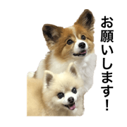Masa_20211014235005