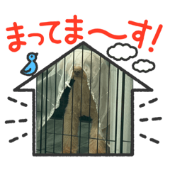 kaori_20211014201121
