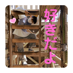 yamada_20211014204557