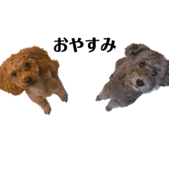 ua_20211014211740