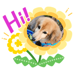 saori_20211014214755