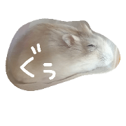 goru-y
