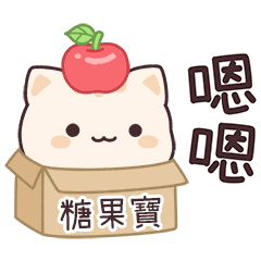 小星貓姓名貼2_糖果寶專用