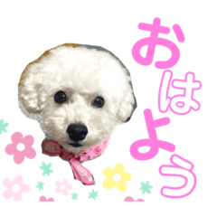 Yuka_20211014235855