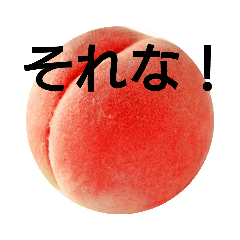 akira_20211015000535