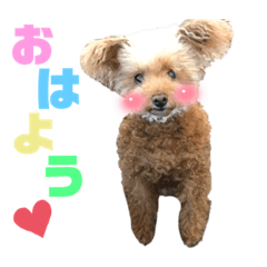 mizuki_20211015111954