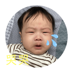 麻糬小牛寶