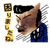 kiyomicat ver2