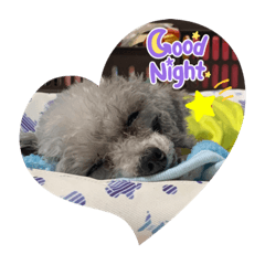 nozomi_20211015115416