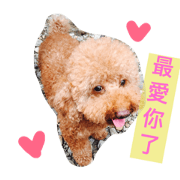Bon - Bon