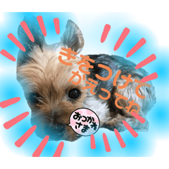 junko_20211015134027