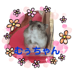 rina_20211015145625