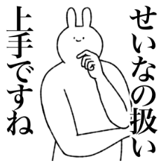 Seina's sticker(rabbit)