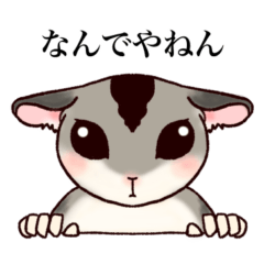 Sugar glider(Kansai dialect)Part1