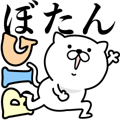 あおいぷん★ぼたん★専用☆BIGねこ
