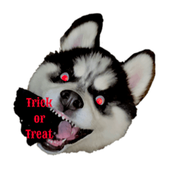 Spooky Husky - English & Japanese-