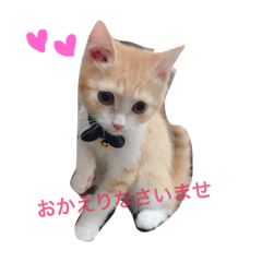 MIRUchan.