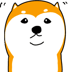 Round Cute Shiba Inu