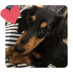 chihiro_20211015182521