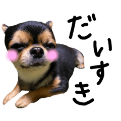 yuka_20211015202505