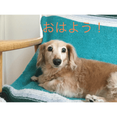 Matsu_20211015211658