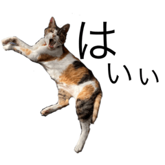 nozomi_20211015230326