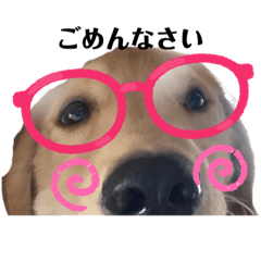 Yukari_20211015231805