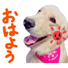 asako_20211016001522