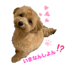 MIYUU_20211016003519