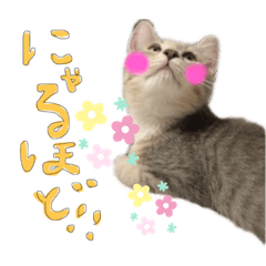 miki_20211016024759