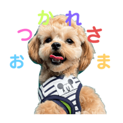Ponzu_20211016091946
