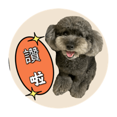 熊熊生活日記