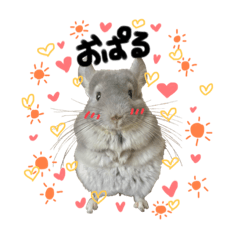 Emily_20211015183813