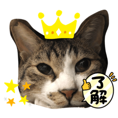 omayu_20211015212919