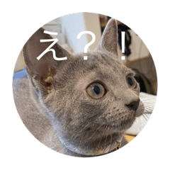 yamada_20211015231816